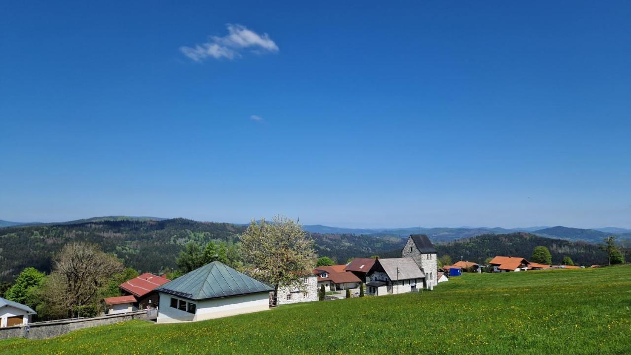 Two Apartaments Almberg - Mitterdorf-ミッターフィルミアンシュロイト エクステリア 写真